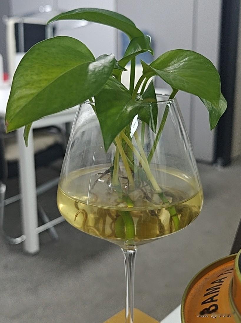 12月25日中央政治局会议放出重磅消息，全面从严治党要提更高标准、出更硬举措，给