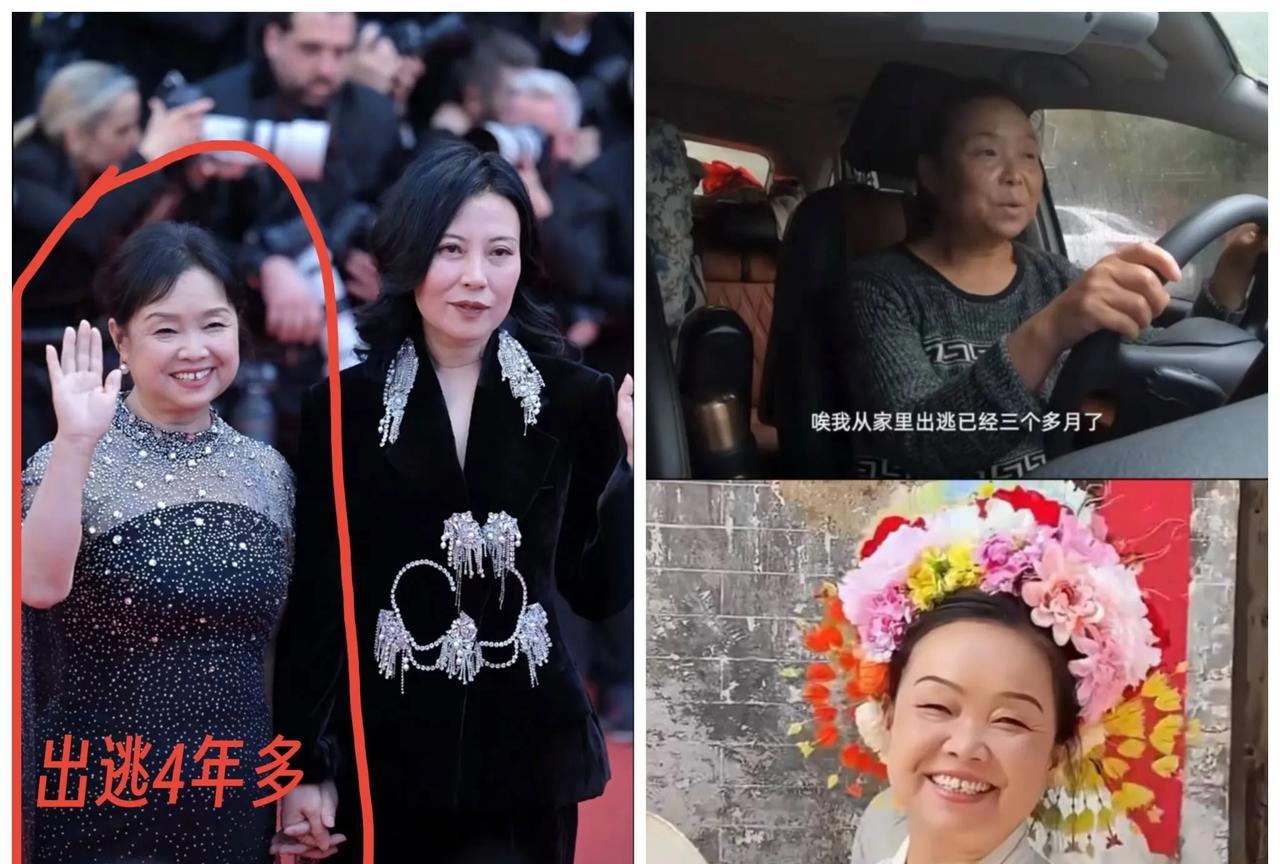 16万人民币换来的自由身4年多出逃的日子如何从一个普通的退休妇女蜕变成戛纳电