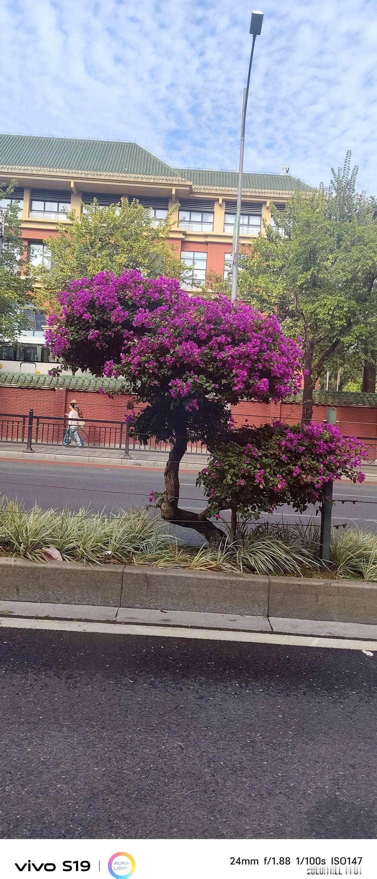 儿子告诉我，他要搬家了，要搬到丈母娘很近的地方。当初，帮儿子买了房子后，儿媳妇