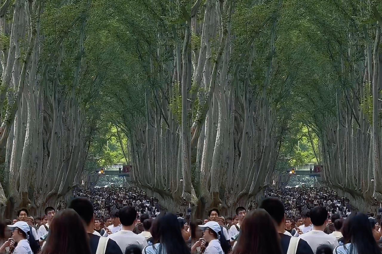 都别来南京了？听我一句劝，这话只说对了一半！国庆的南京热门地确实挤到挪不动