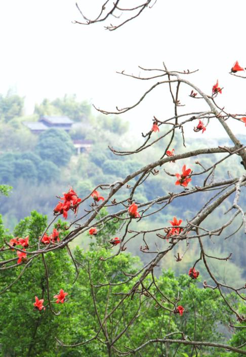 现实的一段话：“男人只有娶了二婚的女人才会真正明白，二婚的女人永远都是情系前