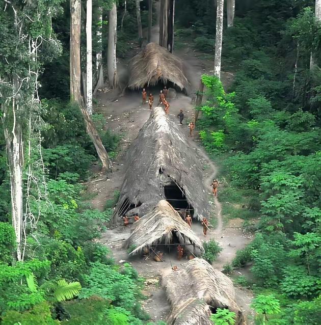 一架无人机在从亚马逊河的丛林深处拍到了未接触过文明的部落。是不是很不可思议？现