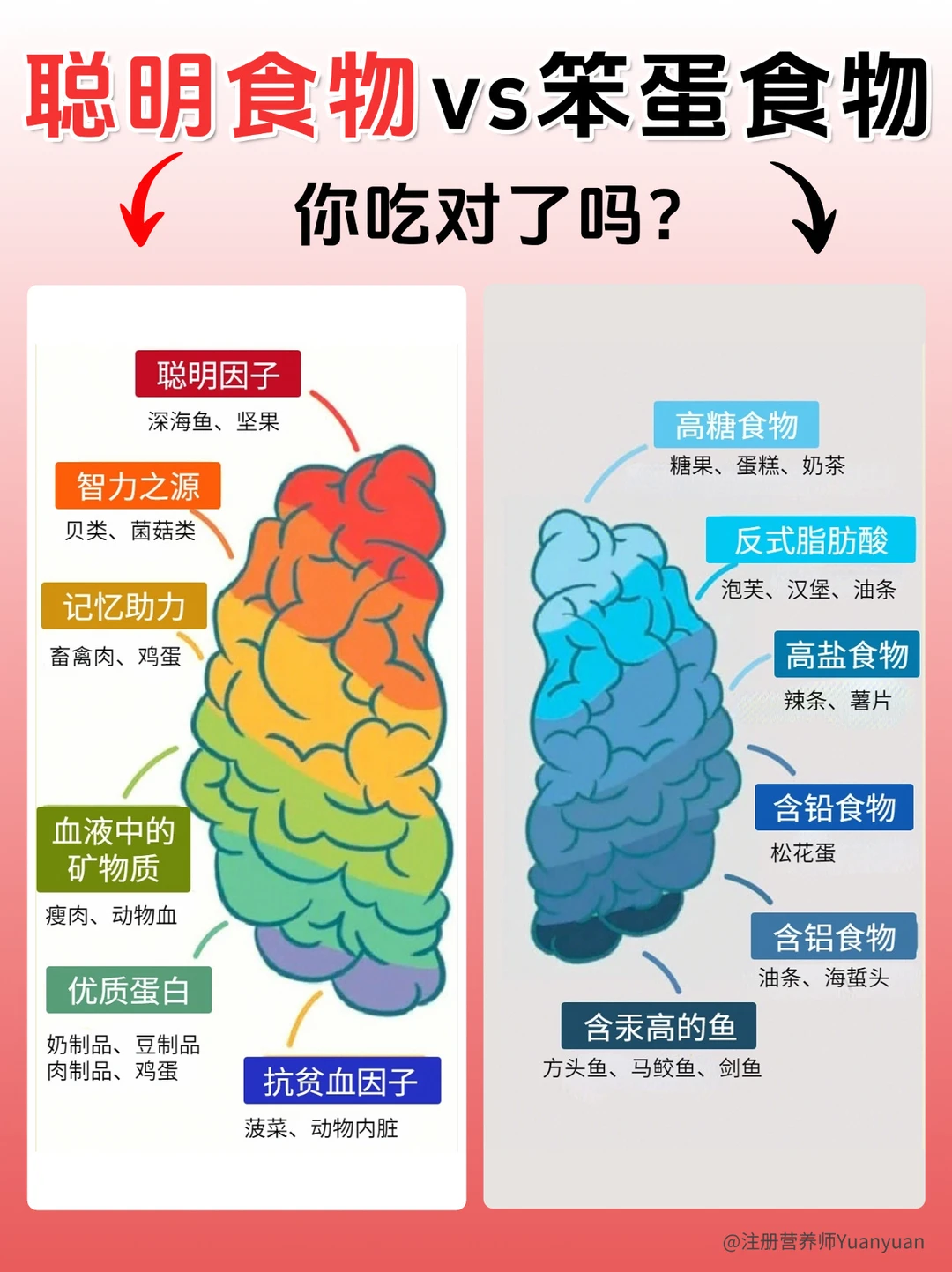 聪明食物和笨蛋食物你吃对了吗？