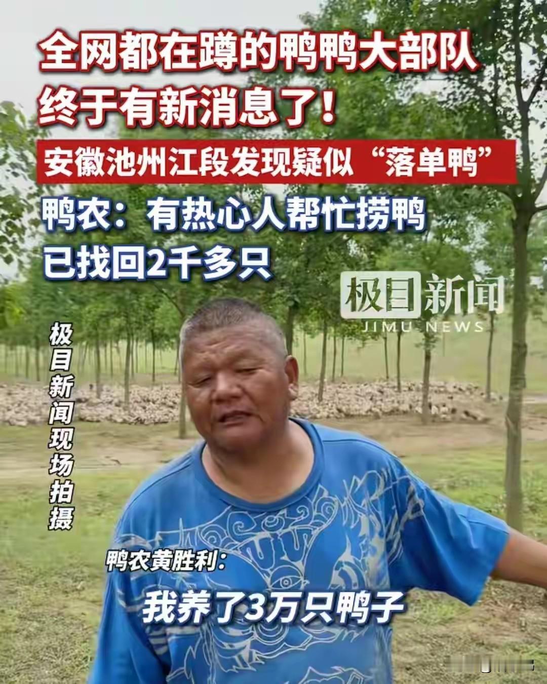 真没想到，鸭子也会偷跑，长江当地这两天发动了这么多人，去帮助这个大叔找鸭子，大