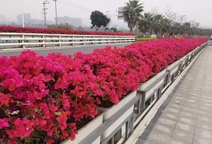 熬资历的时代，真的过去了以前，单位里提职级、分好处，基本都按“排队”原则—