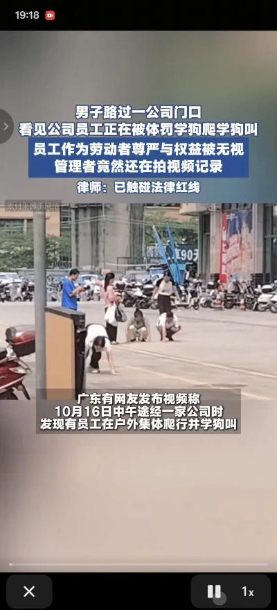 惠州街头多人爬行学狗叫后续：公司身份引疑，社区回应引争议10月16日，广东