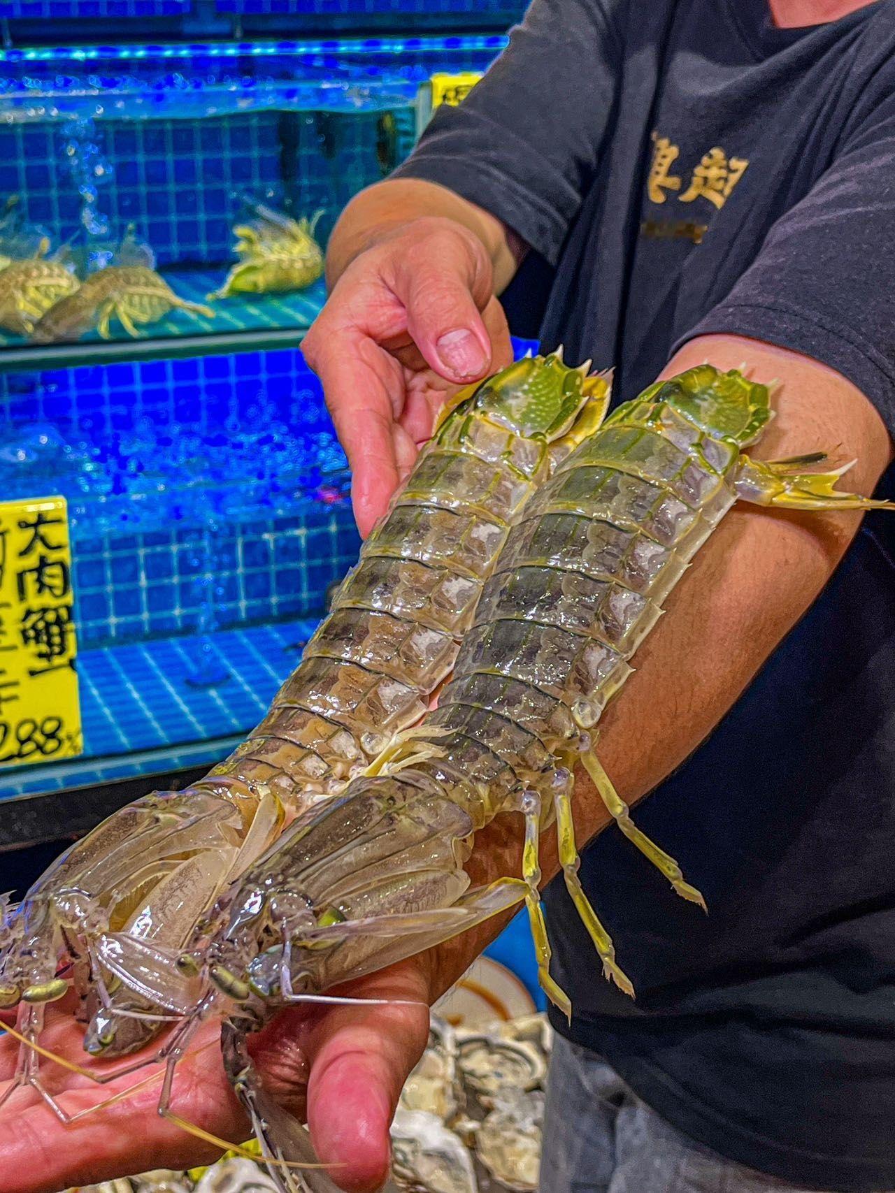 三亚一家海鲜店被顾客投诉“4只皮皮虾1035元”，当地通报称“先行赔付，介入调查
