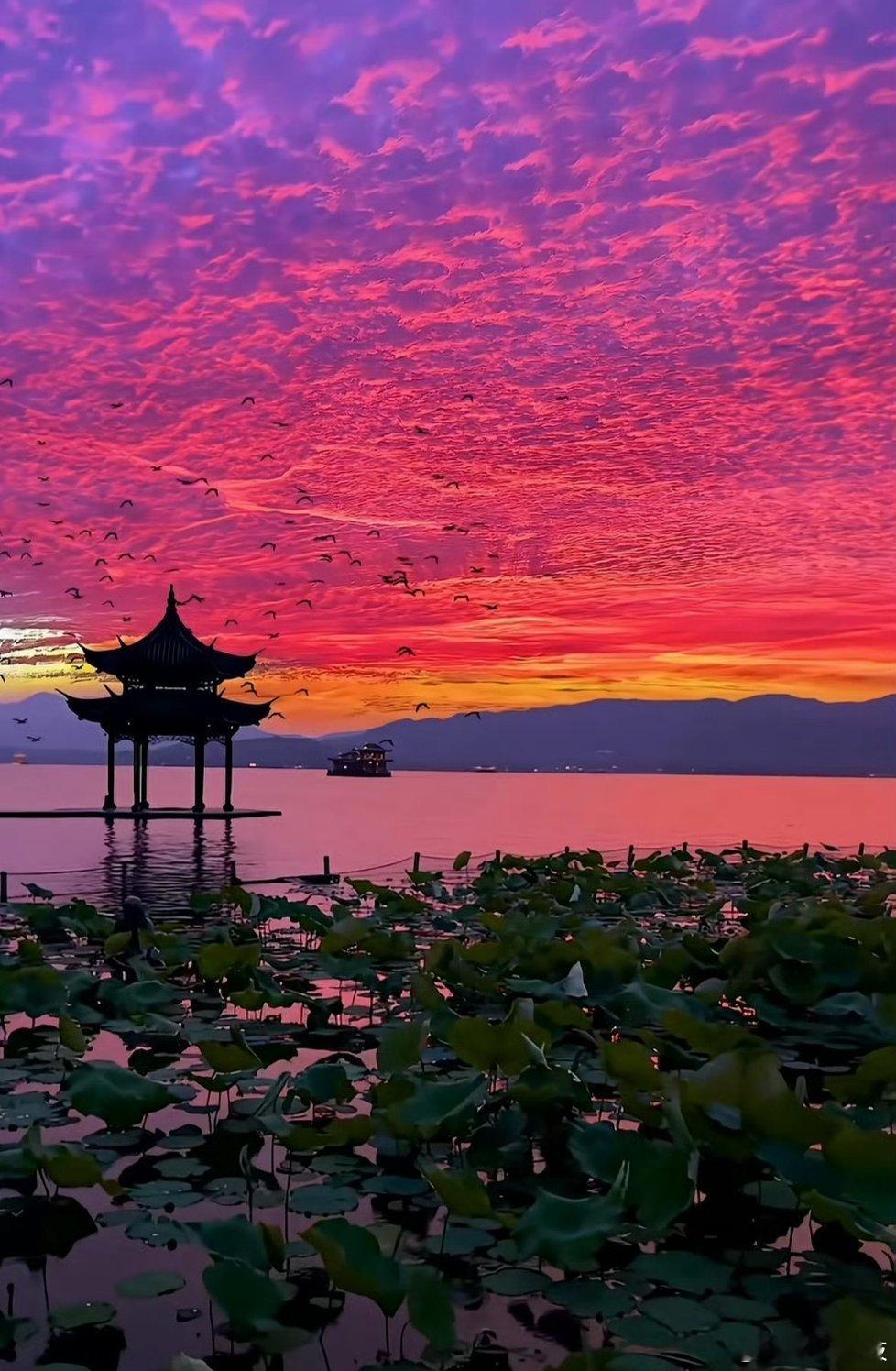 巴威把西湖变成西海这几天看隔壁平台也是把所有西湖的美景都看了一遍各种不同天气还有