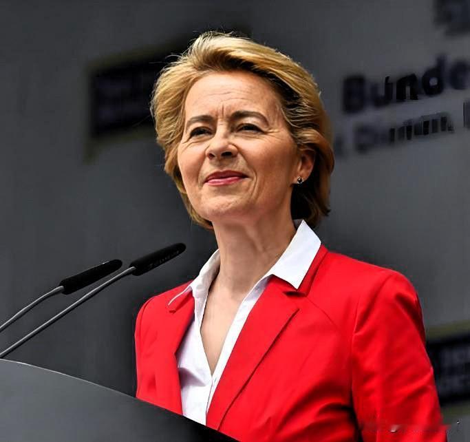 欧盟委员会主席冯德莱恩(1月19日）发文说：“我已同北约秘书长吕特、法国总统马克