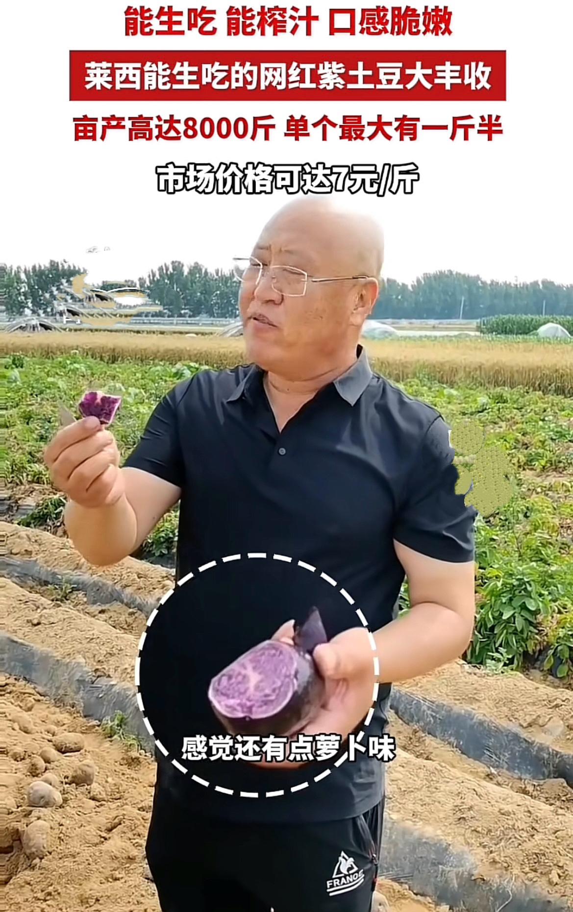 起猛了，眼花了，有人敢生吃土豆！青岛莱西，一名男子抓起地里刚挖出来的土豆，切下一