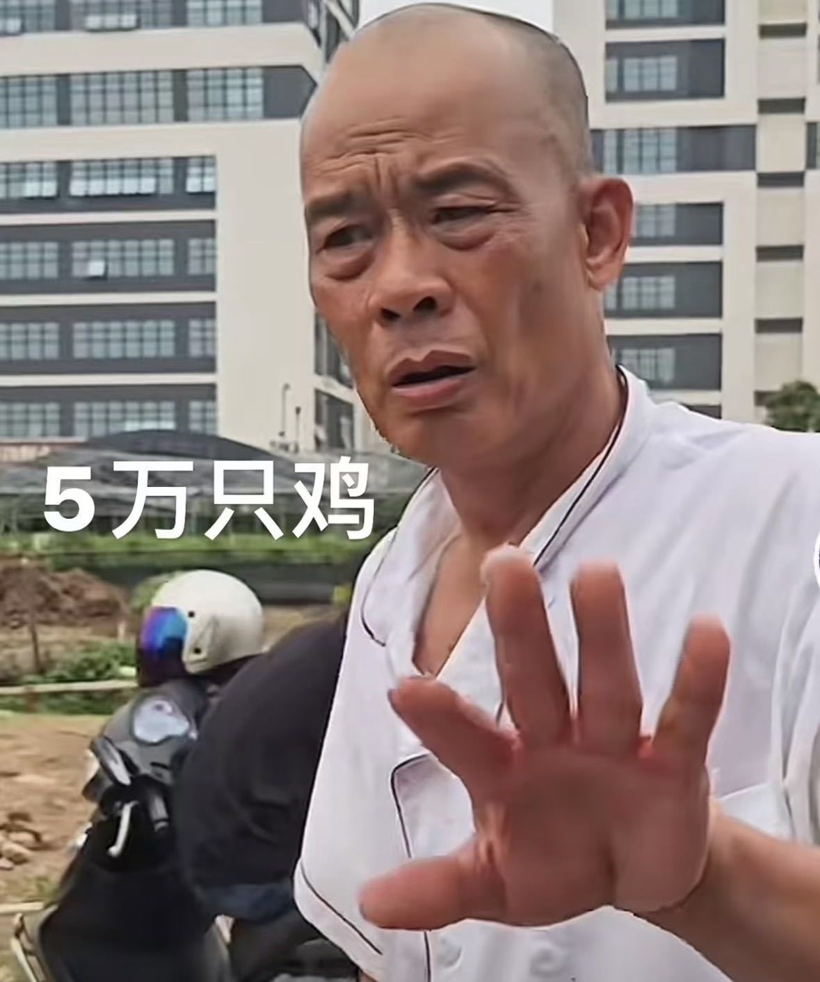 老莫以为能省事结果更忙了顺德黄牛行业迎来寒冬，全靠老莫整顿代排市场，如今大家都选