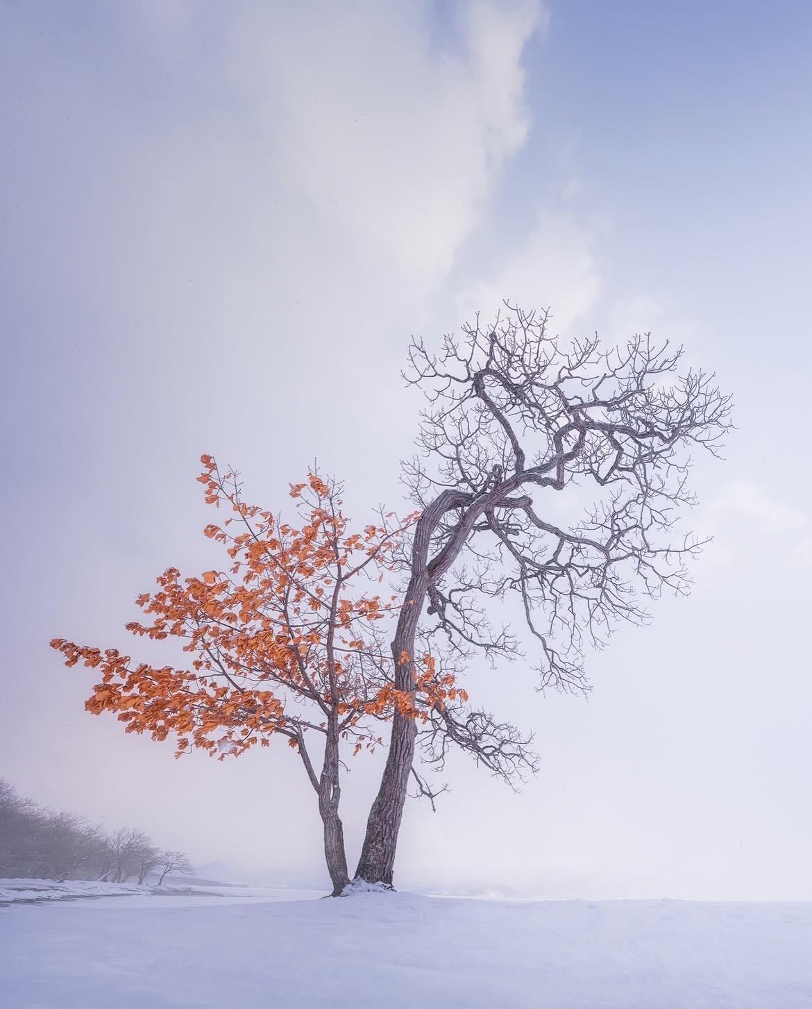 说句扎心的话，你身上的那些“玄学反应”，很可能只是身体在给你发求救信号，可惜九成