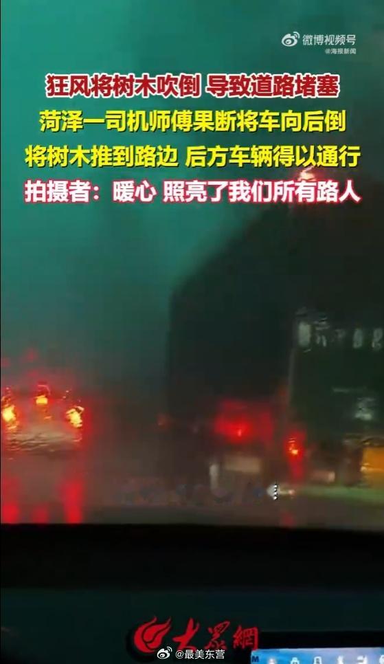 山东大哥暴雨中用车推树清障7月6日菏泽郓城遭遇狂风暴雨，220国道一棵大树被