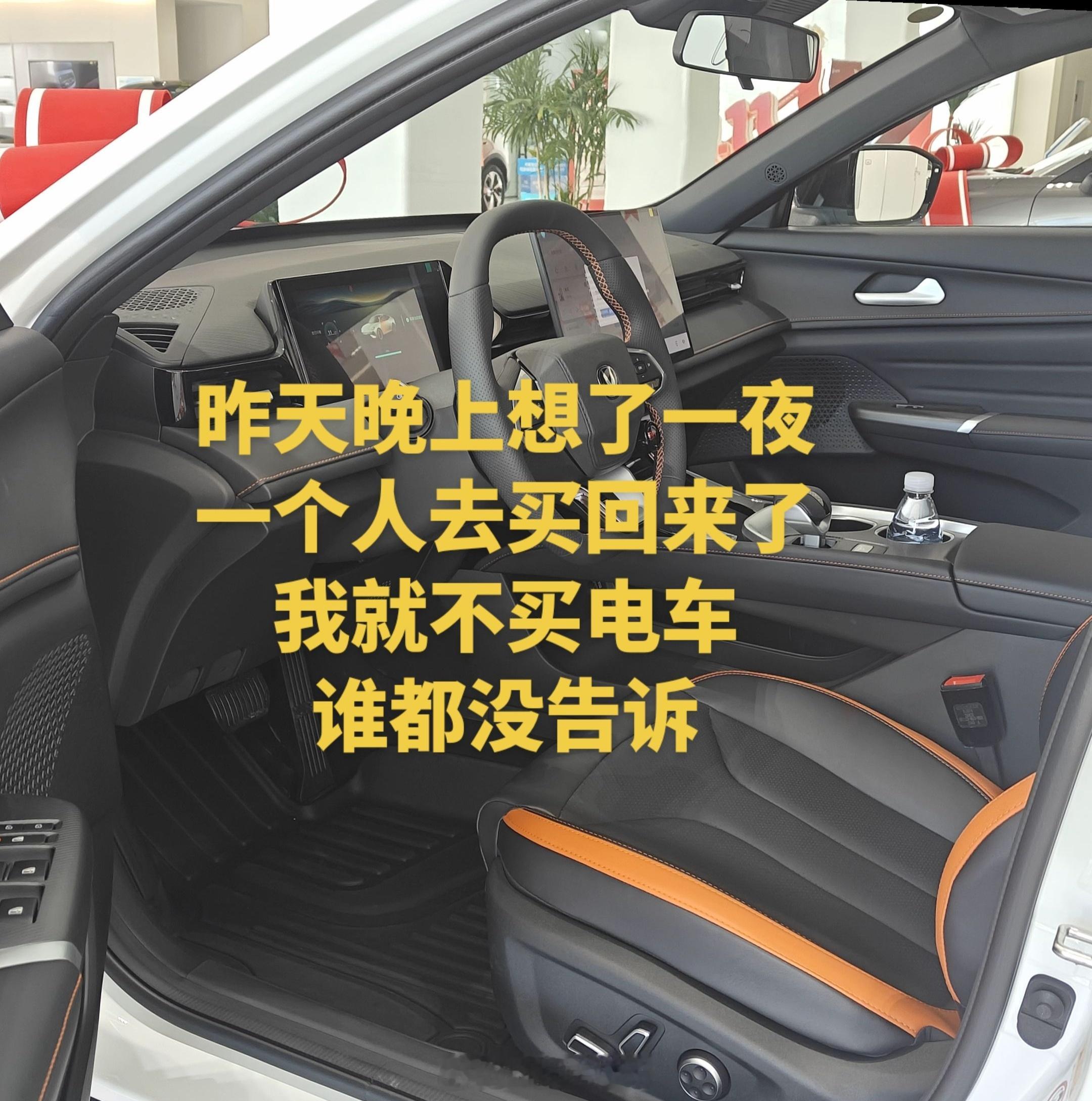 网友思考一夜最终买了辆油车，评论区都夸他是明白人，做了最明智的选择