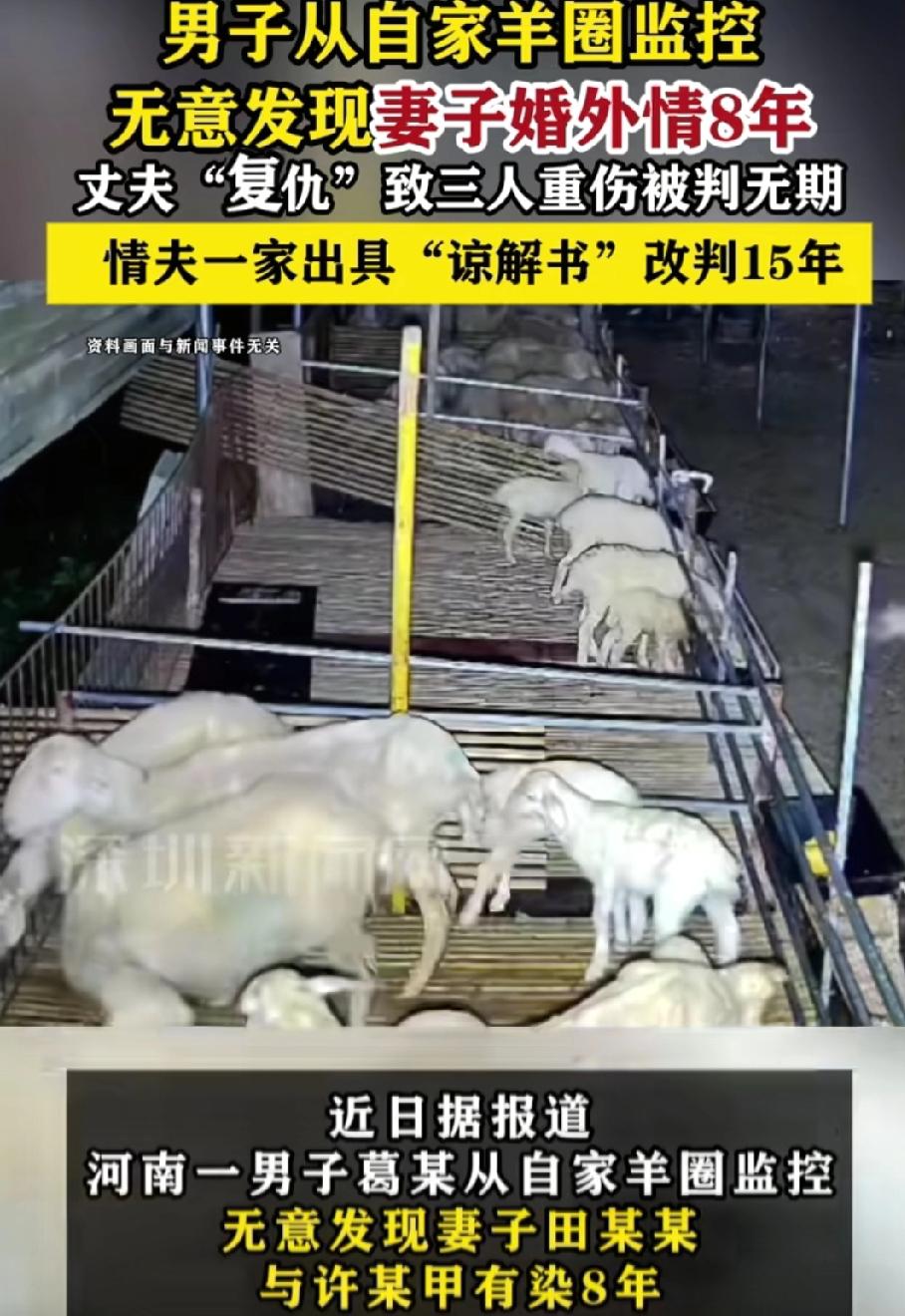 冲动毁了谁？河南新乡的葛某，外出打工时从羊圈监控发现妻子田某和同村王某在羊圈鬼祟