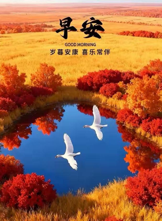 盼望寒冬不冷，希望出門平安，渴望幸福安康，祈望快樂吉祥，祝願大家無恙。