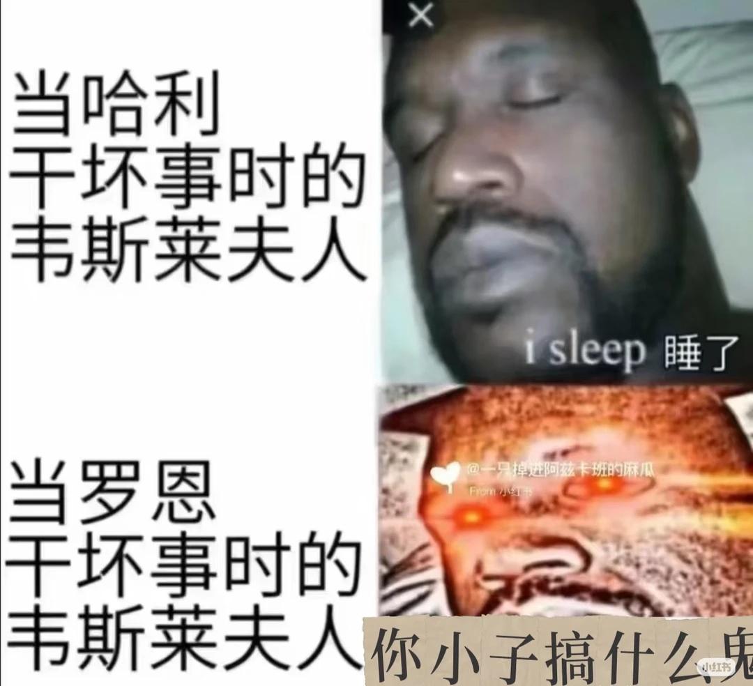 梗图哈利波特