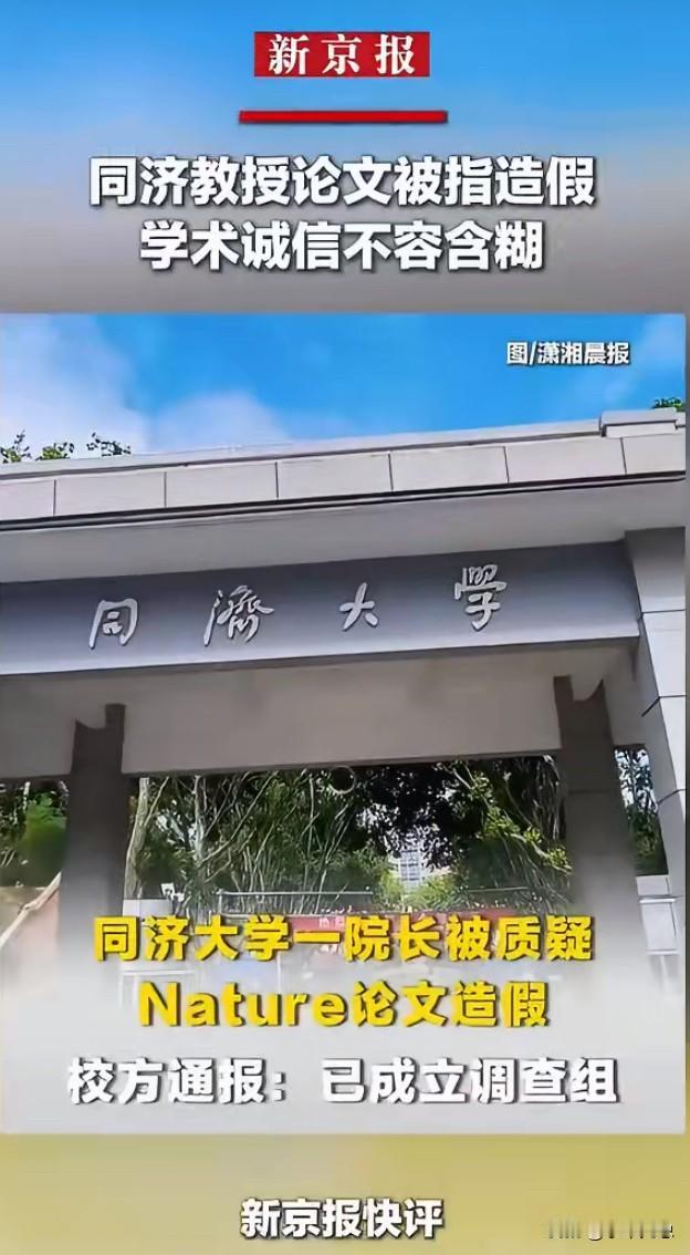 同济大学这波直接搞掉了一个院士候选人，真是铁血手腕，顶格处理。因为论文造假，