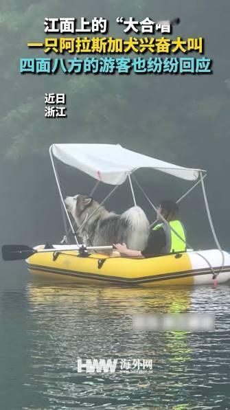谁也没想到，一次普通的水上游玩，竟然因为一只阿拉斯加犬变成了一场“江上音乐会”。