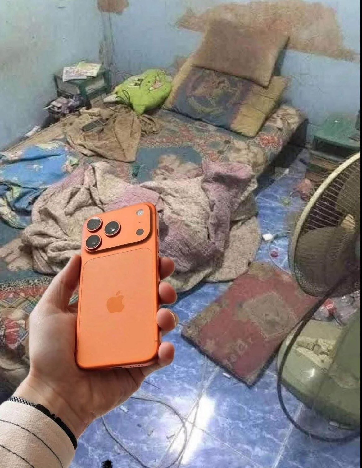 ​​​