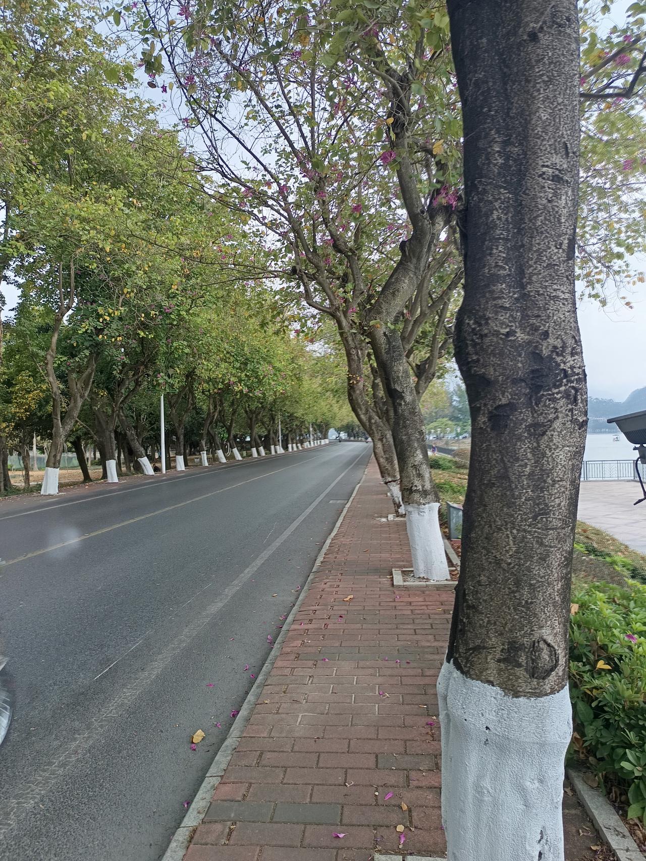 你敢相信吗？这里是七星岩风景区。肇庆有两个5a级风景区，七星岩风景区和鼎湖山