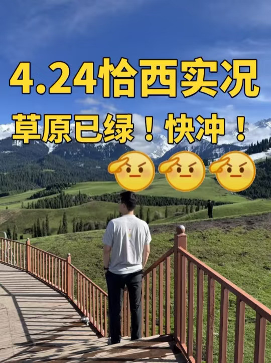 🙆速报！恰西草原已经绿啦！赶紧调行程