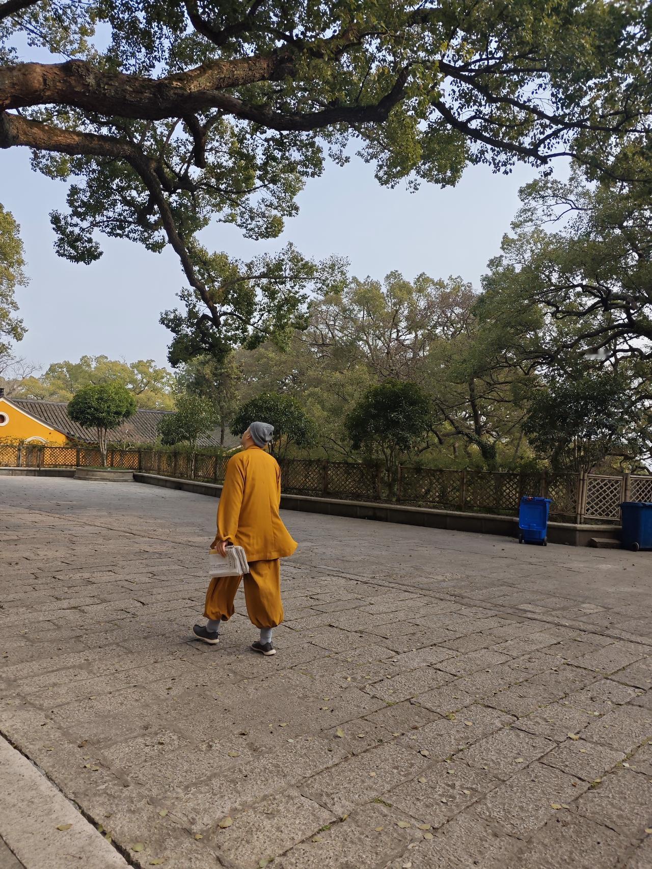 普陀山名不虚传，来这里的善男信女们包括小孩子都特别守规矩，不哭不闹，安安静静的跟