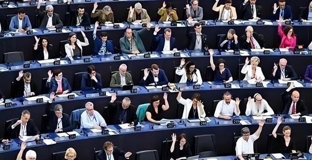 真是离了个大谱！欧洲议会居然上演了一出极其荒诞的政治闹剧，503票赞成，仅9票反