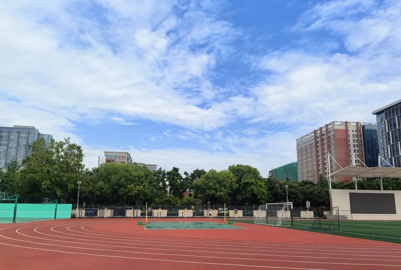 在成都，经过了小升初的小摇号，看到了一些结果，也大概知道，只要娃学习成绩够好，实
