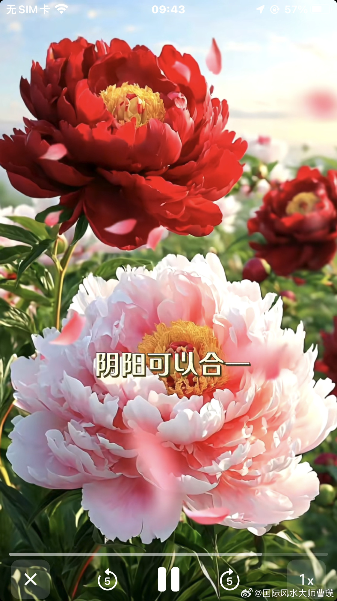 不要因为别人无法按你的意思去做事而生气，因为自己都无法完全照自己的意思做事，更何