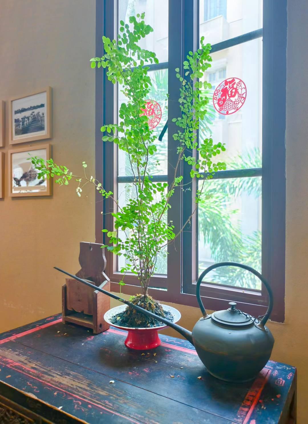 分享几个真正少有人知的实用新技能，手机、电脑都能用，学会效率直接翻倍。1、