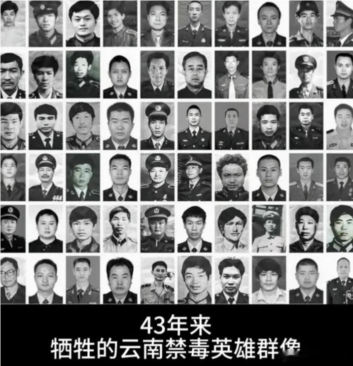 毒品，居然成了“黄赌毒”里第一个被试探松绑的？云南日报一口气甩出14条缉毒视频，