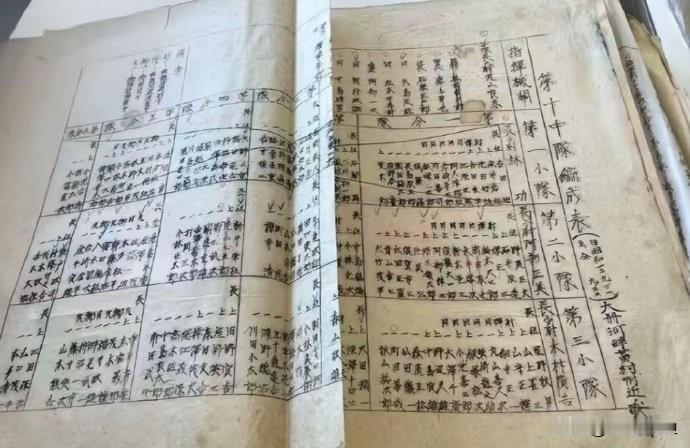 我真服了。一个江苏的初中生把日军细菌战的账本翻出来了，国内一群大人追着骂他"汉奸