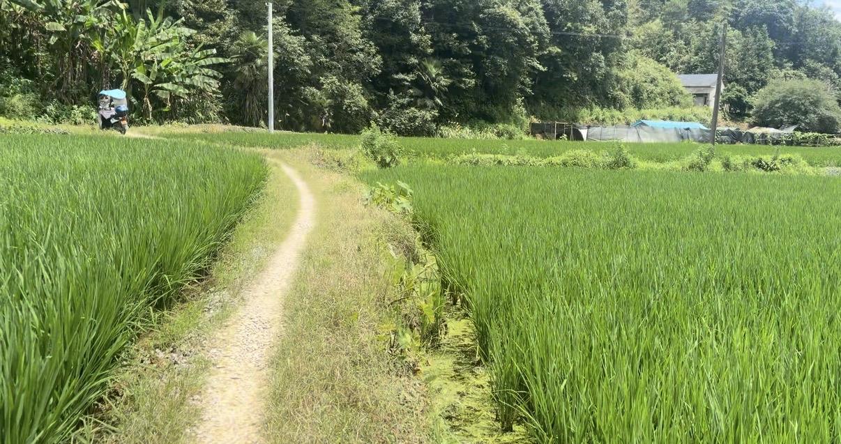 老郑副县长退休，回到了曾经百般努力才跳出去的深山里，子女都在国外定居，老伴癌症已