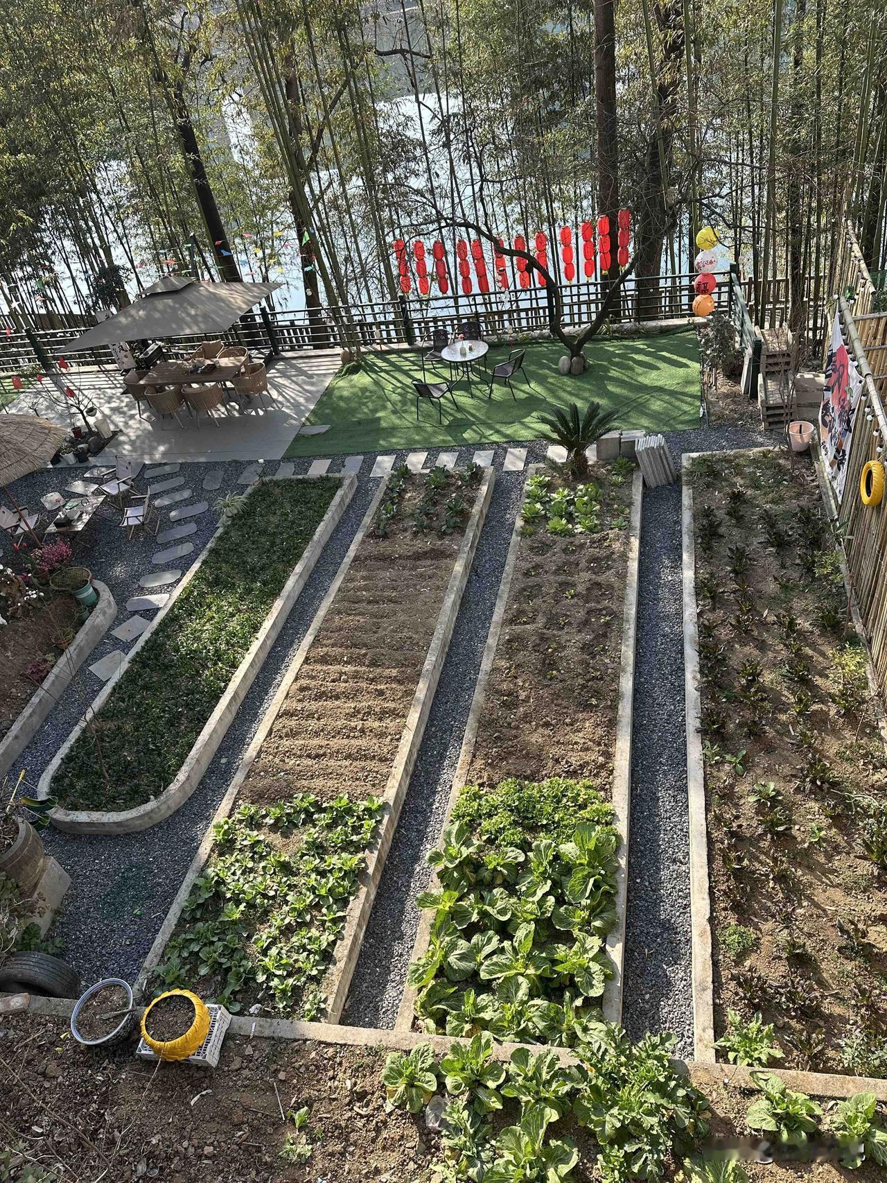 真的！我家那个不信邪的先生，被一只小松鼠“救”了牌运玄学到底灵不灵？我不讲大