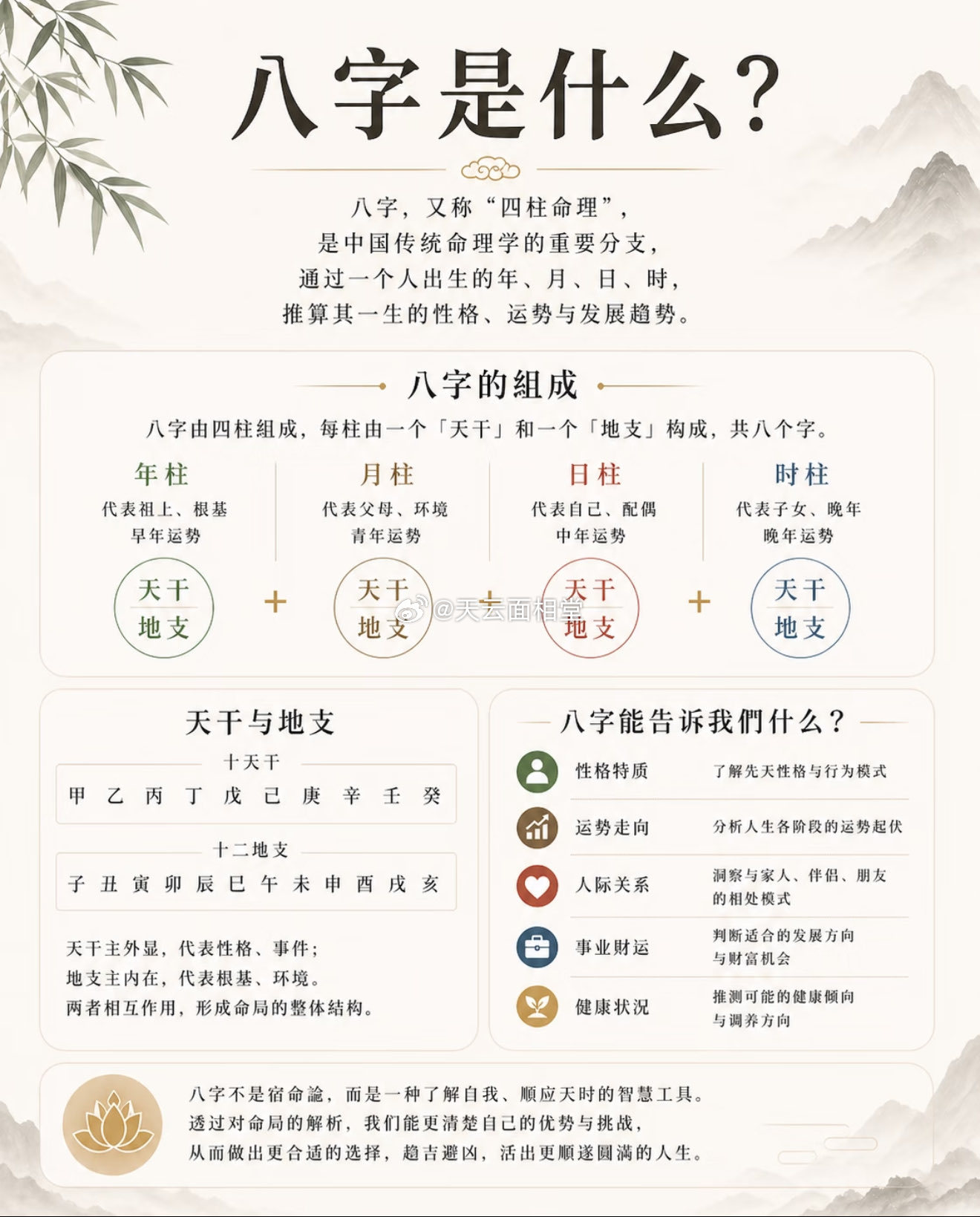 八字是什么