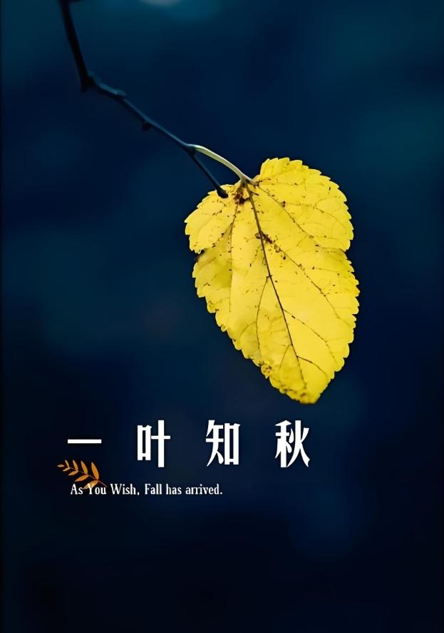 秋风秋雨秋季凉，秋寒秋冷秋叶黄，秋收秋割秋忙碌，……请友续补……？上联