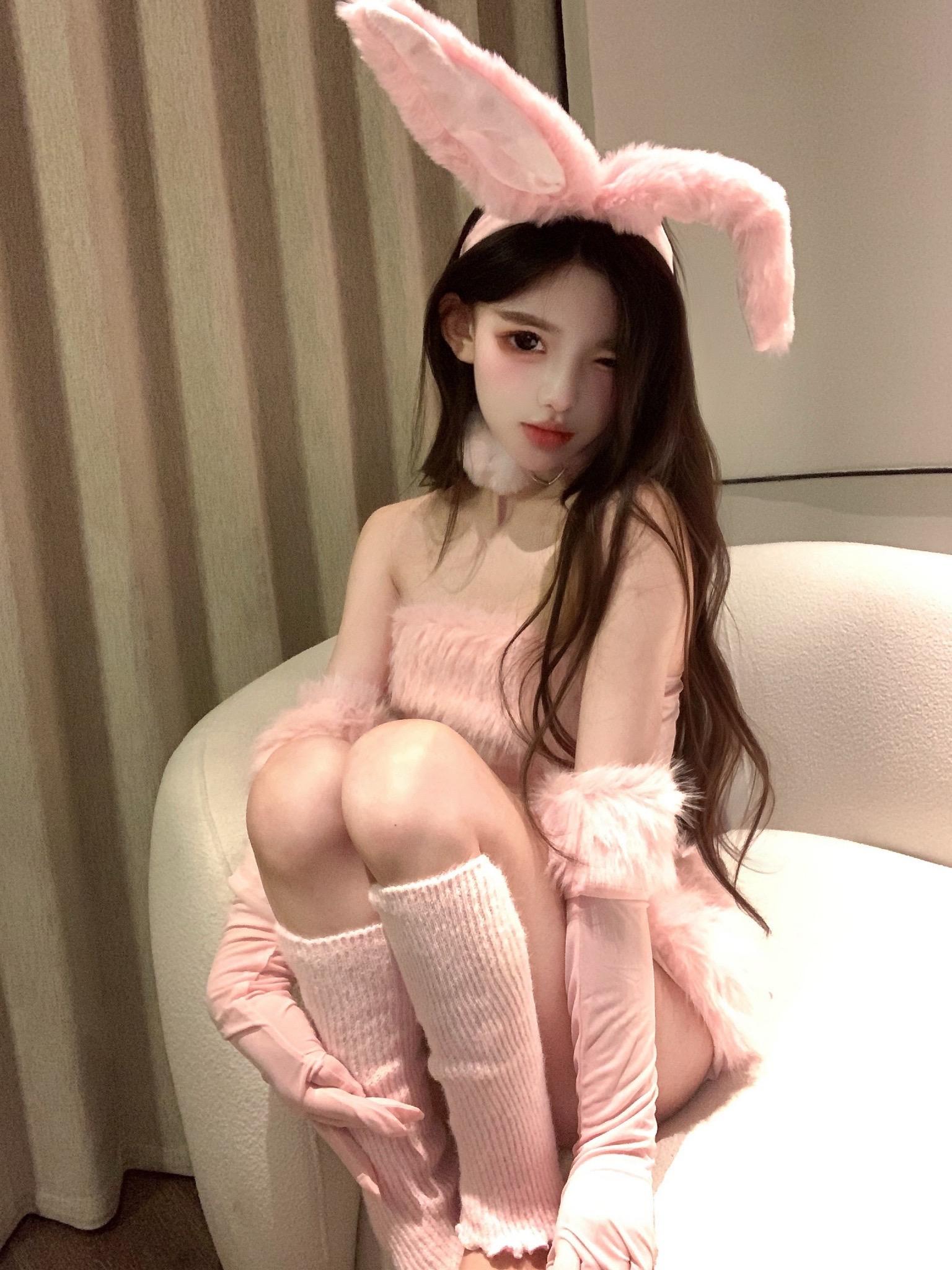 不可以欺负兔子