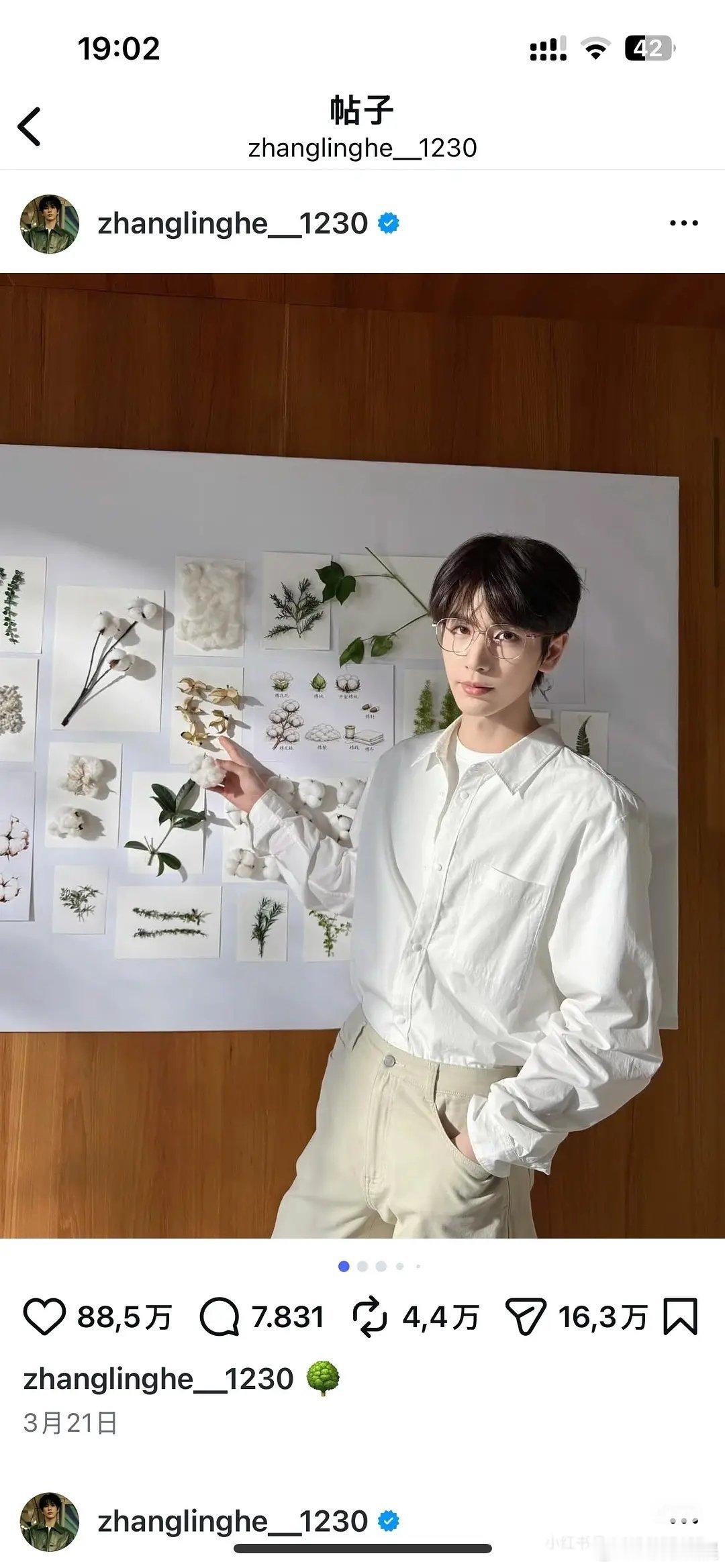 张凌赫为什么执着于小v脸