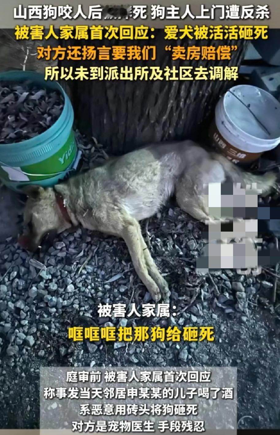 九刀避要害：60岁父亲挥刀的最后防线当60岁的申某良攥着那把杀鱼刀时，他或