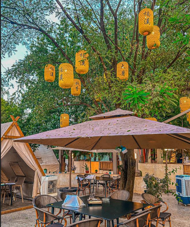 农家乐凉了8万家！表面卖土鸡，背后却在搞这个？暗访结果惊人…”——你印象中的