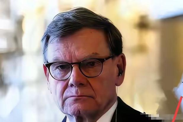 德国外长近日在稀土议题上与中国爆发激烈交锋，一句“德国稀土用在哪不关中国的事”说