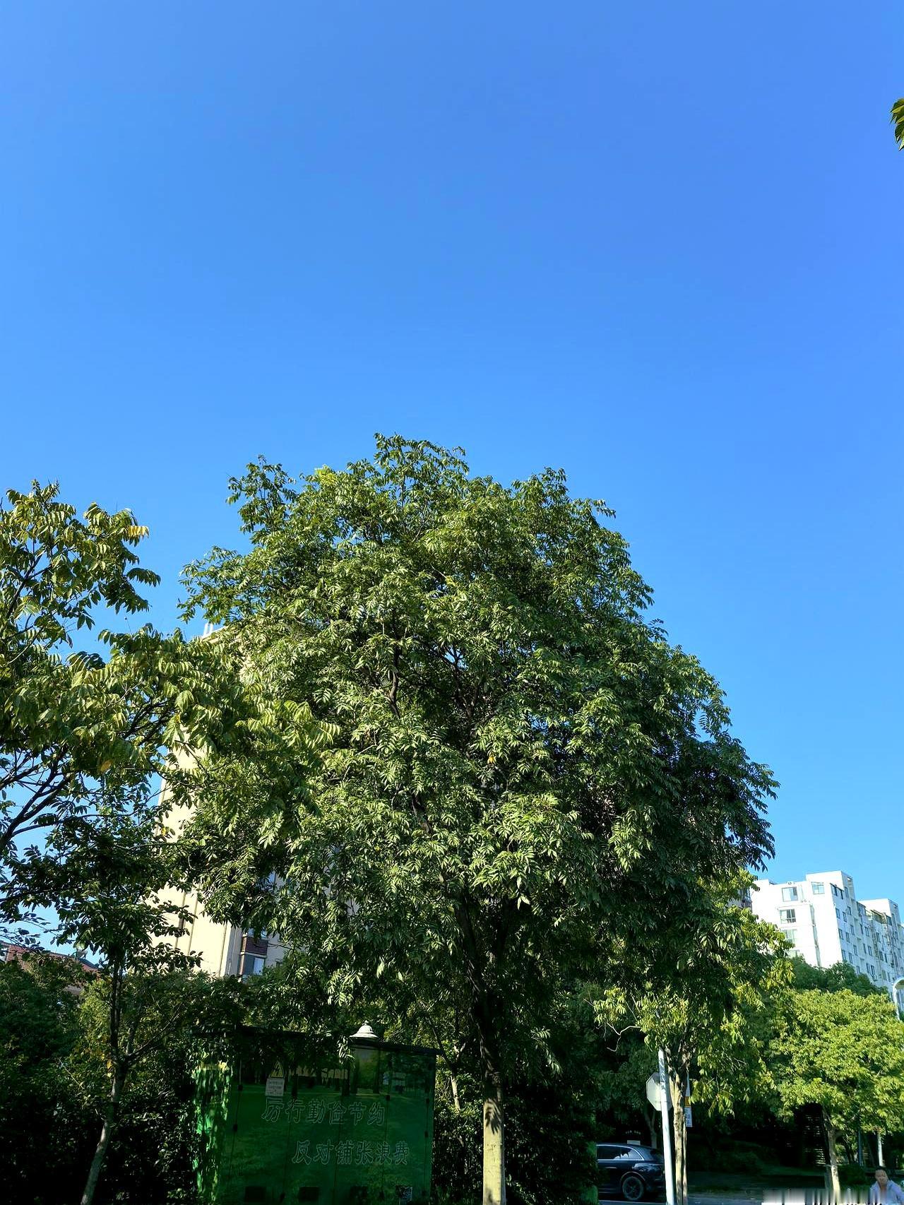 他把养老房抵押了，还觉得帮了儿子。晚年这6件事别碰：养老院不如请保姆——李奶奶