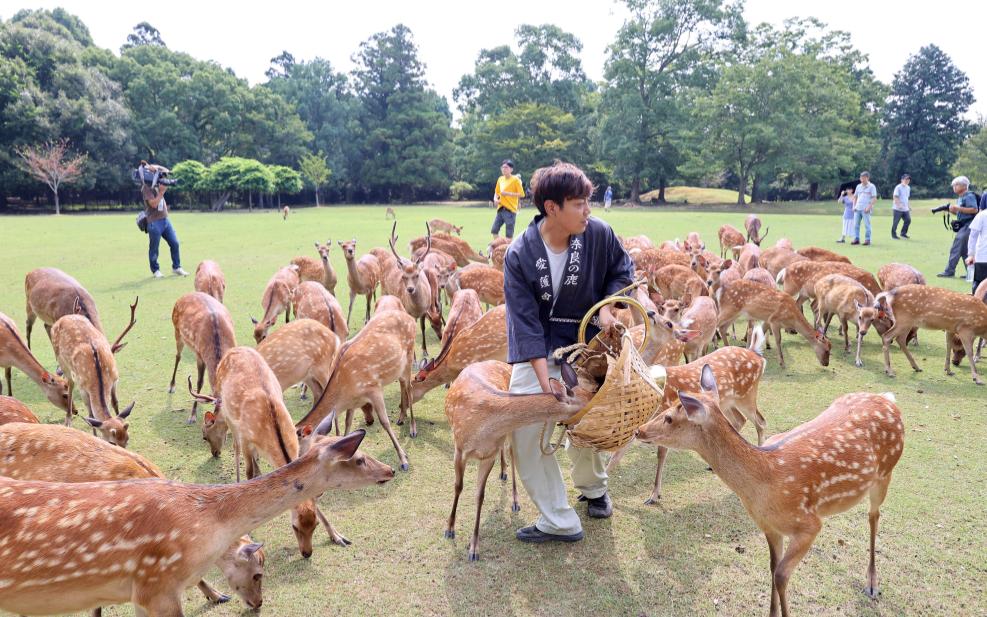 人生两大苦，求不得和已失去？石破茂辞职以后，大家开始念起他的好。赴日游客多了，