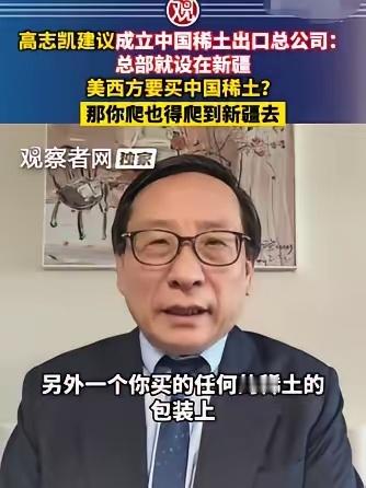 高志凯教授提议，中国在新疆设立一个管理中国稀土进出口的总公司，直接落地新疆乌鲁木