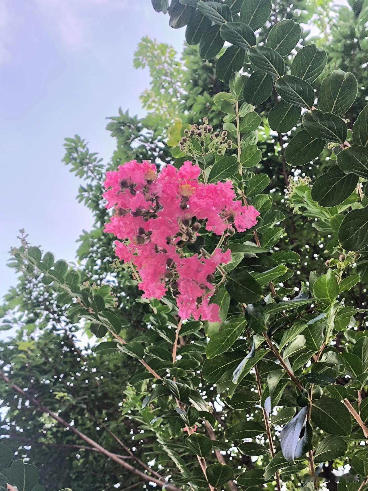 人到中年，跑步不如试试快走不是说跑步不好，而是到了咱们这个年纪，身体已经悄悄
