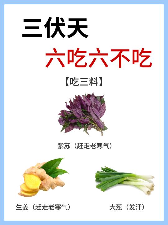 三伏天要来啦，六吃六不吃！！