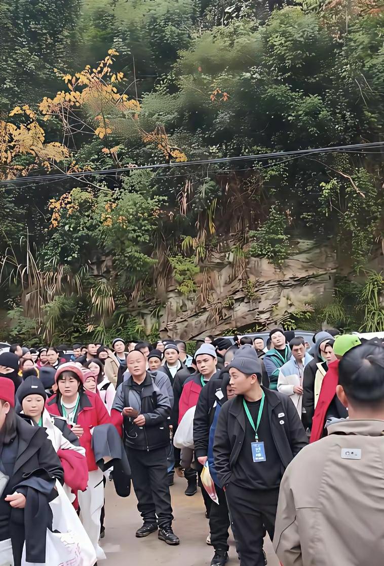 贵州榕江荒野求生赛开赛4天紧急叫停官方证实女选手遭骚扰且投诉不止一起缴纳12