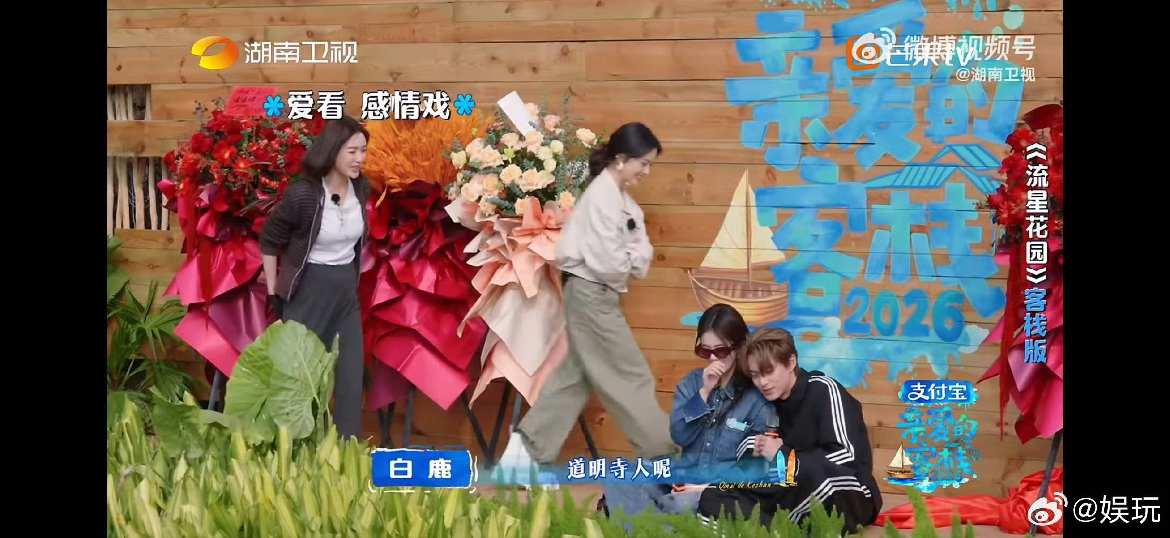 王鹤棣秦岚沈月白鹿飙戏家人们!谁懂啊!《亲爱的客栈2026》里白鹿沈月这对“喜剧