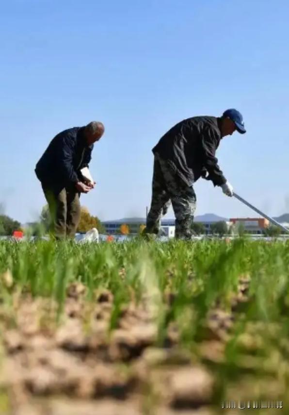 现在我们国家有一个非常矛盾的问题，都知道农民种地不赚钱，但粮食却不能涨价，因为粮